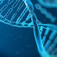 Барануковы и ДНК